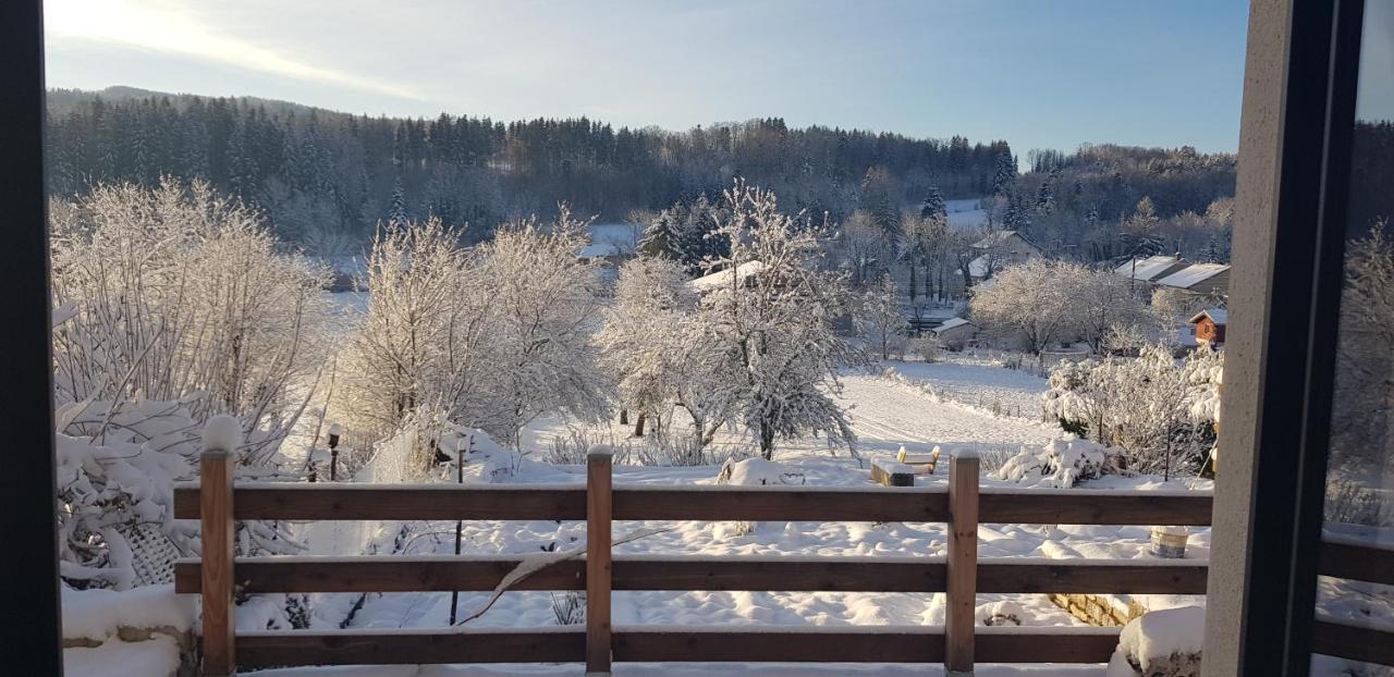 Le Jura En Toutes Saisons Piscine, Spa, Location Vtt, Balades 2Cv, Climatisation Bonlieu Kültér fotó