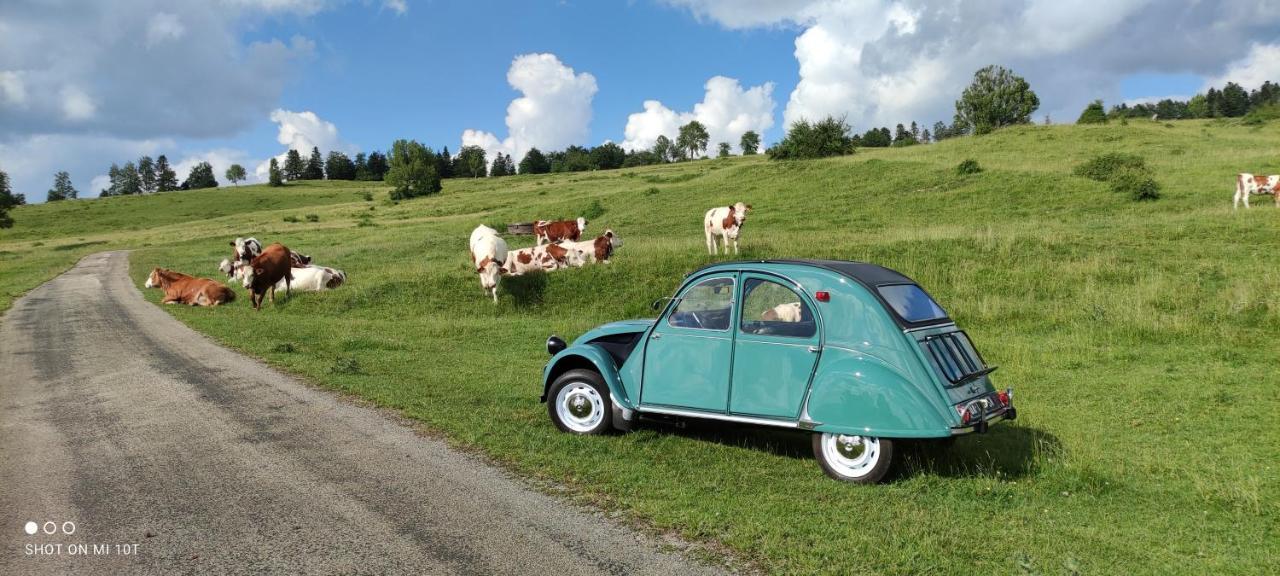 Le Jura En Toutes Saisons Piscine, Spa, Location Vtt, Balades 2Cv, Climatisation Bonlieu Kültér fotó