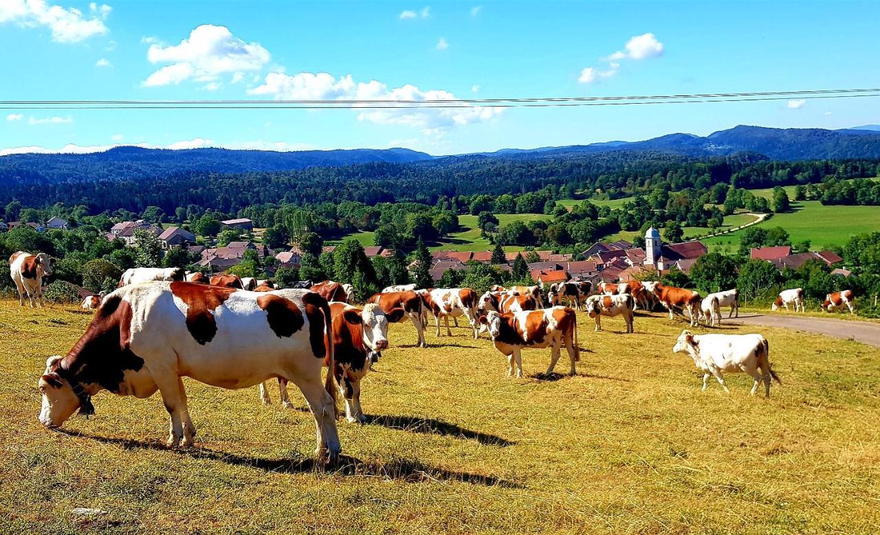 Le Jura En Toutes Saisons Piscine, Spa, Location Vtt, Balades 2Cv, Climatisation Bonlieu Kültér fotó